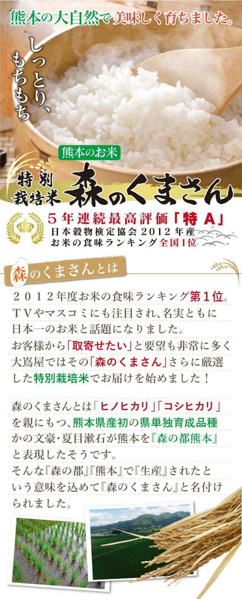  特別栽培米 森のくまさん 10kg