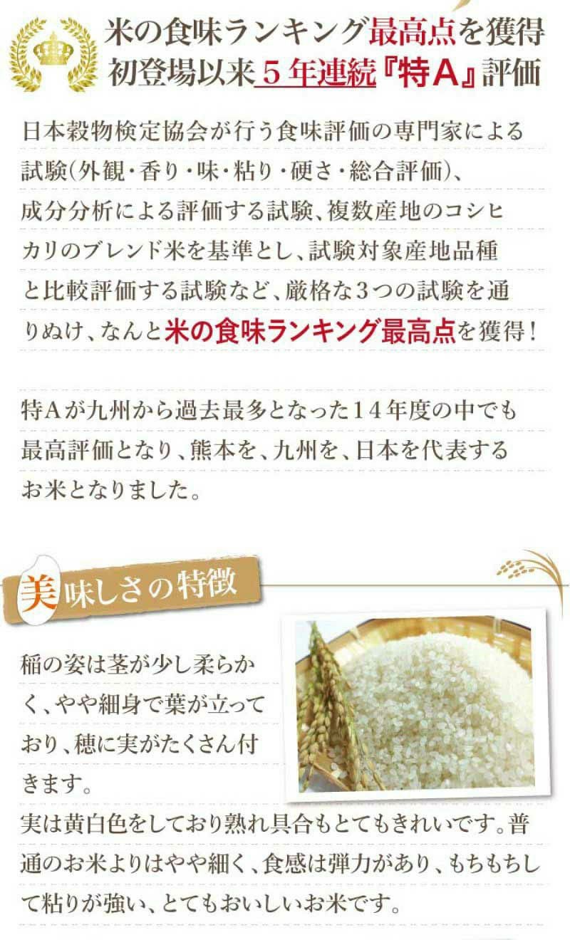  特別栽培米 森のくまさん 10kg