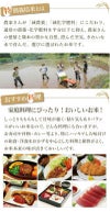  特別栽培米 森のくまさん 10kg