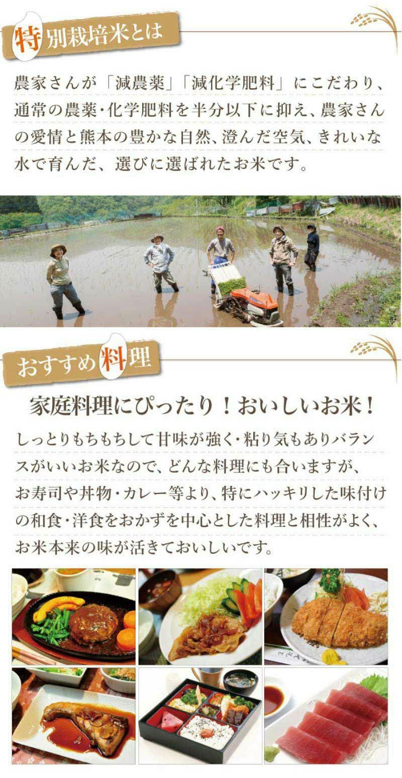 特別栽培米 森のくまさん 10kg