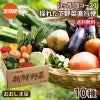 採れたて野菜直行便【定期便】