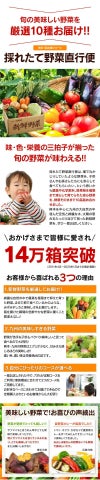 採れたて野菜直行便【定期便】