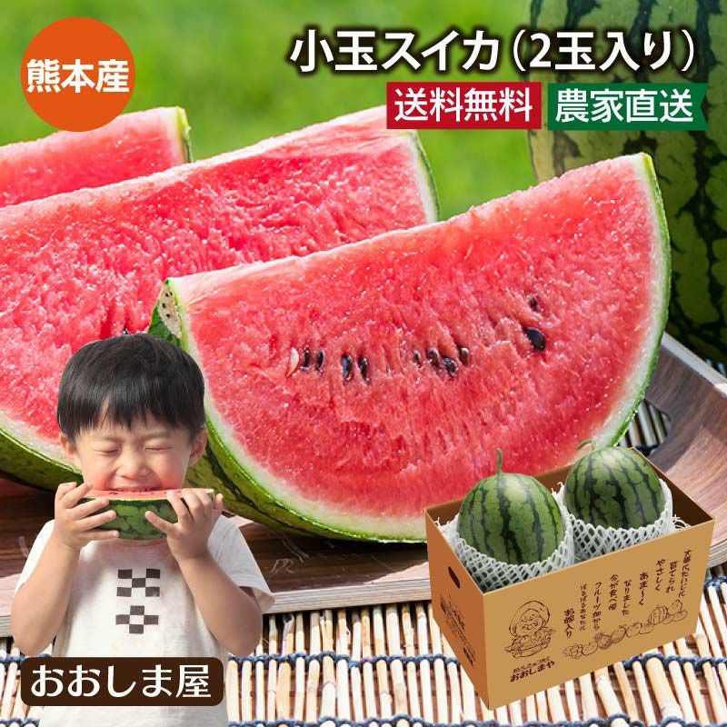 熊本県産 小玉スイカ 2玉入り 送料無料 ＜5月上旬より順次出荷予定