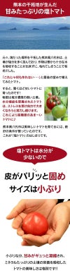 熊本産 塩トマト