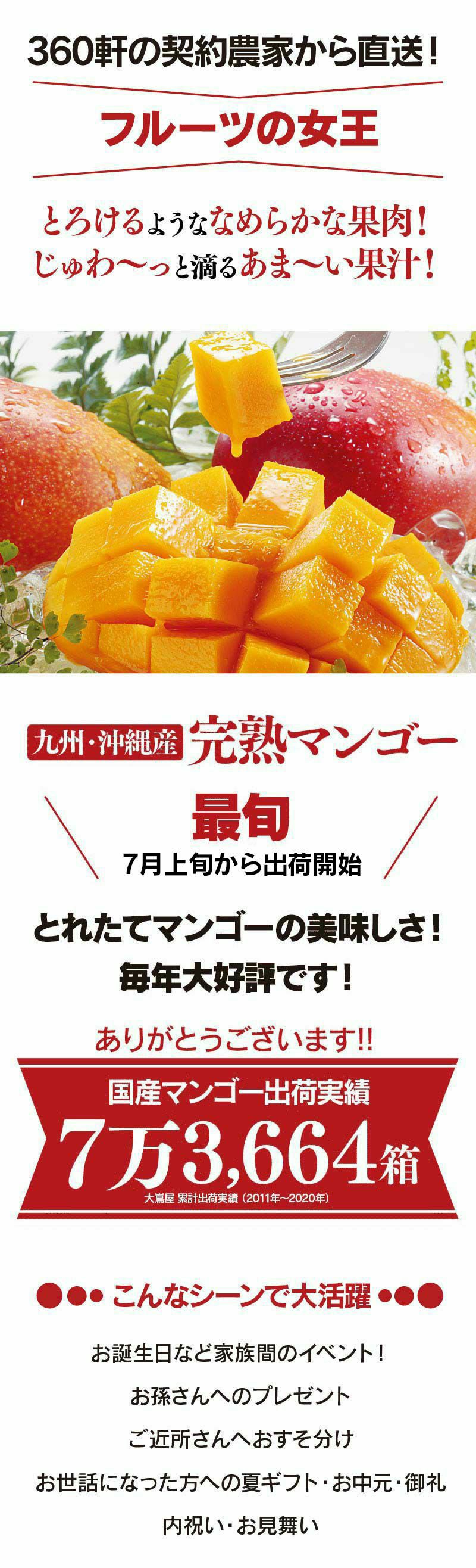 玉揃え 完熟マンゴー