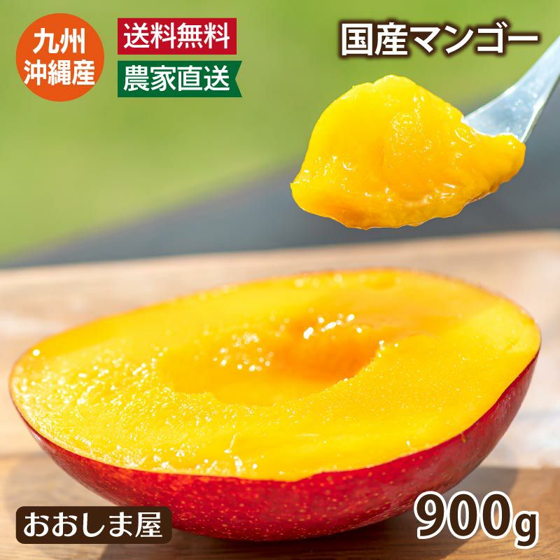 国産 完熟マンゴー 900g 送料無料 （クール料金別途） 大小混合 九州