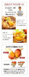  国産 完熟マンゴー 900g