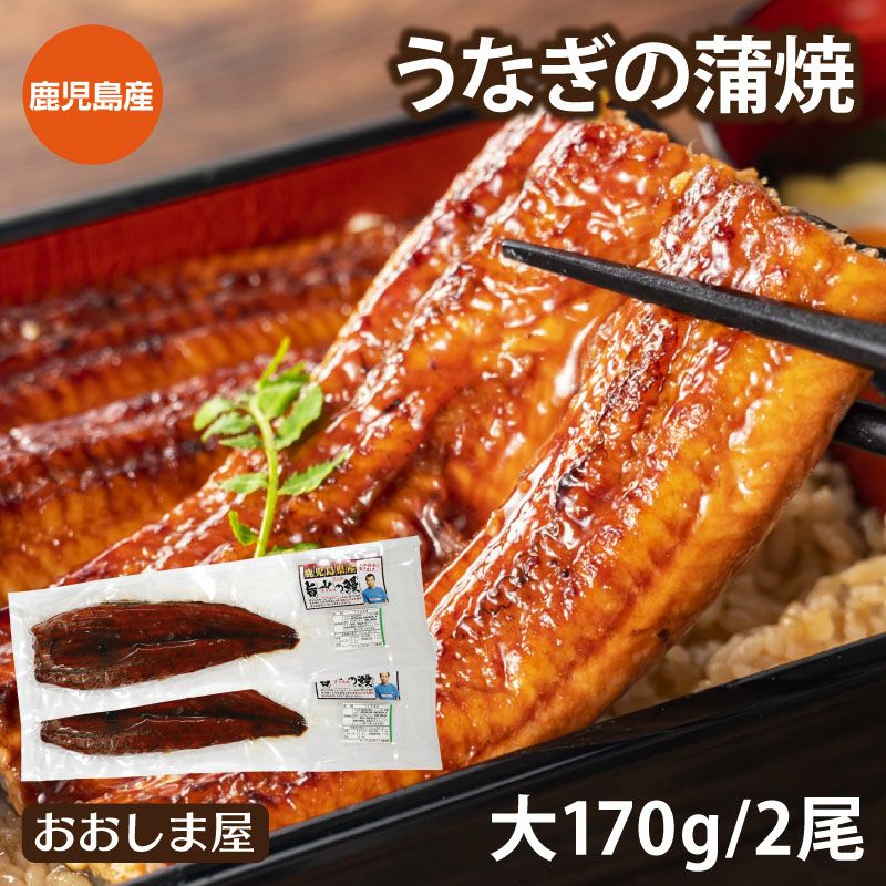 国産 うなぎ蒲焼き 大サイズ2尾(170g×2)セット（タレ付き） ＜送料無料
