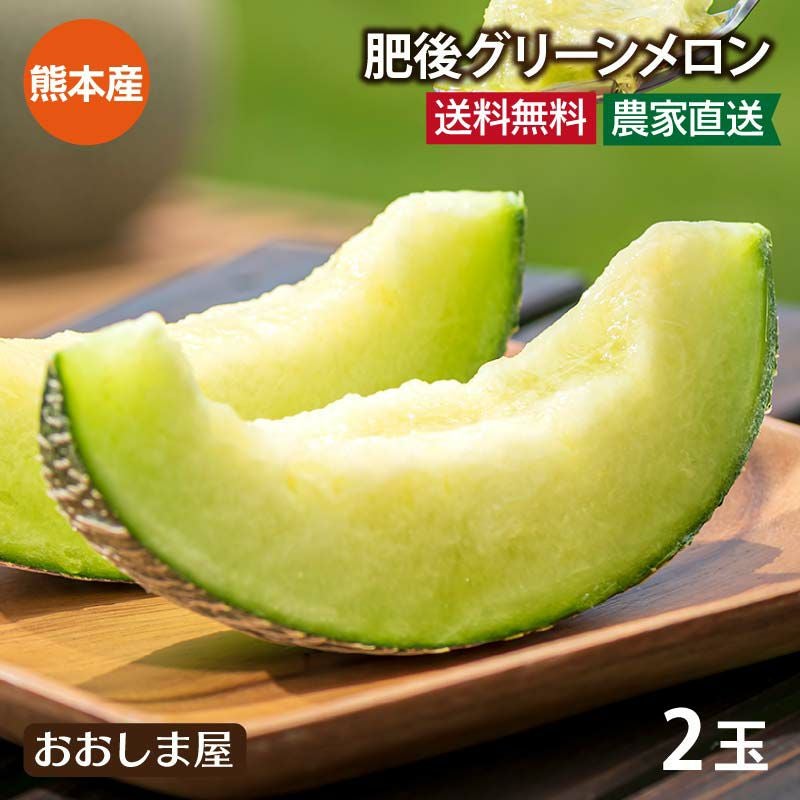 肥後グリーンメロン 2玉入り 熊本産 送料無料 ＜6月上旬より順次出荷