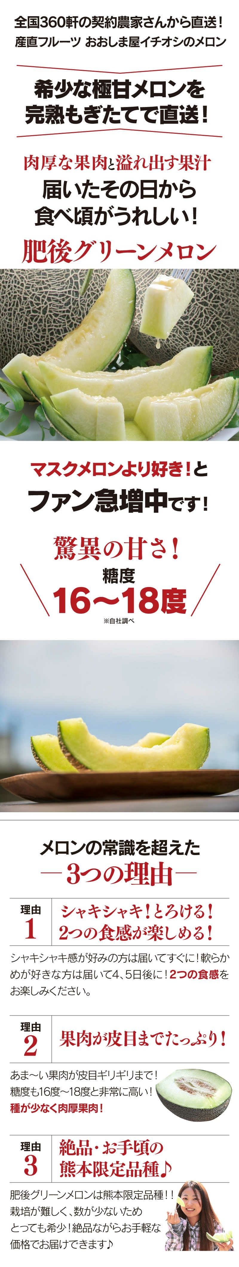 産地直送！肥後グリーンメロン❗️甘くて美味しい❗️6玉入り！箱込み8.5キロ前後 肥後グリーンメロン 2玉入り 熊本産 送料無料 ＜6月上旬より順次出荷