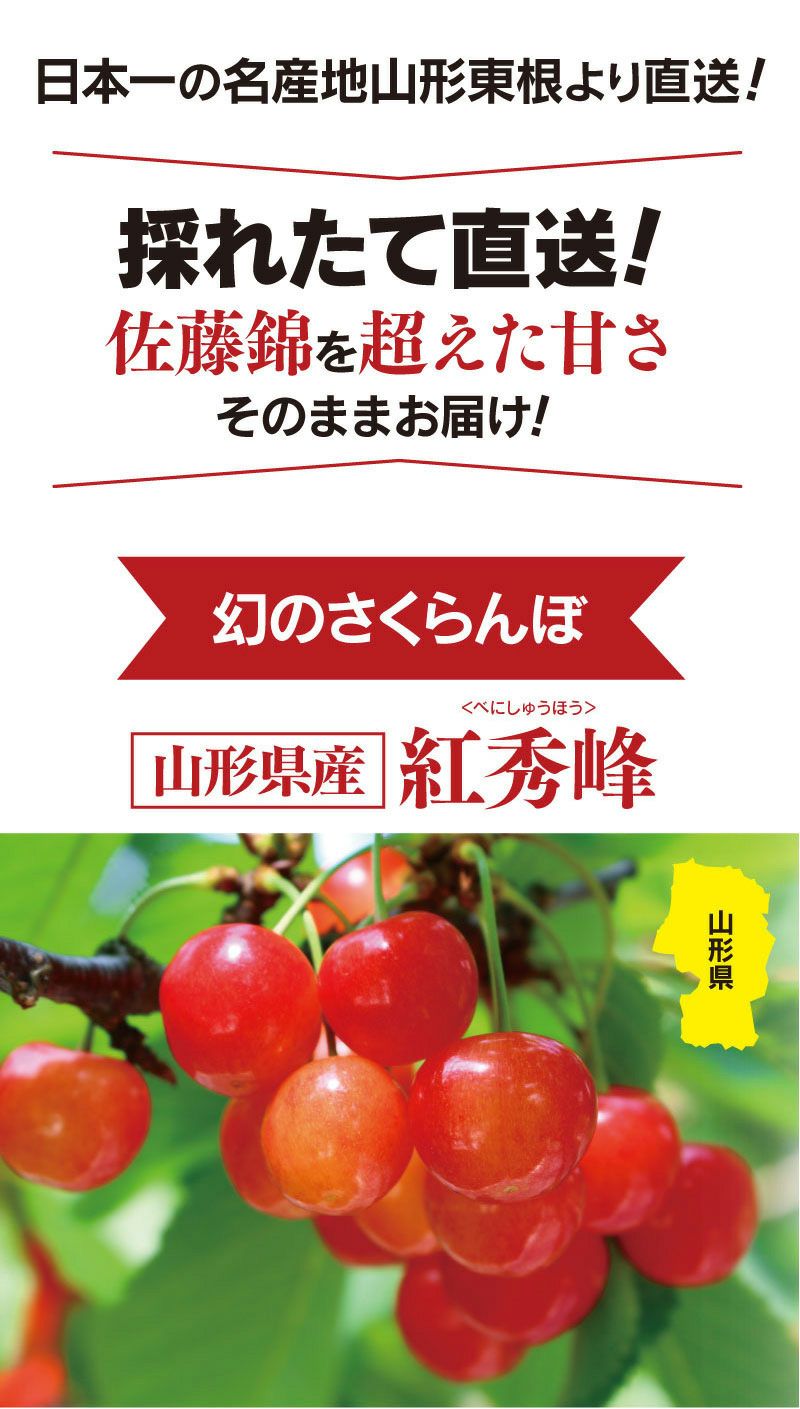 紅秀峰 山形 さくらんぼ 700g 