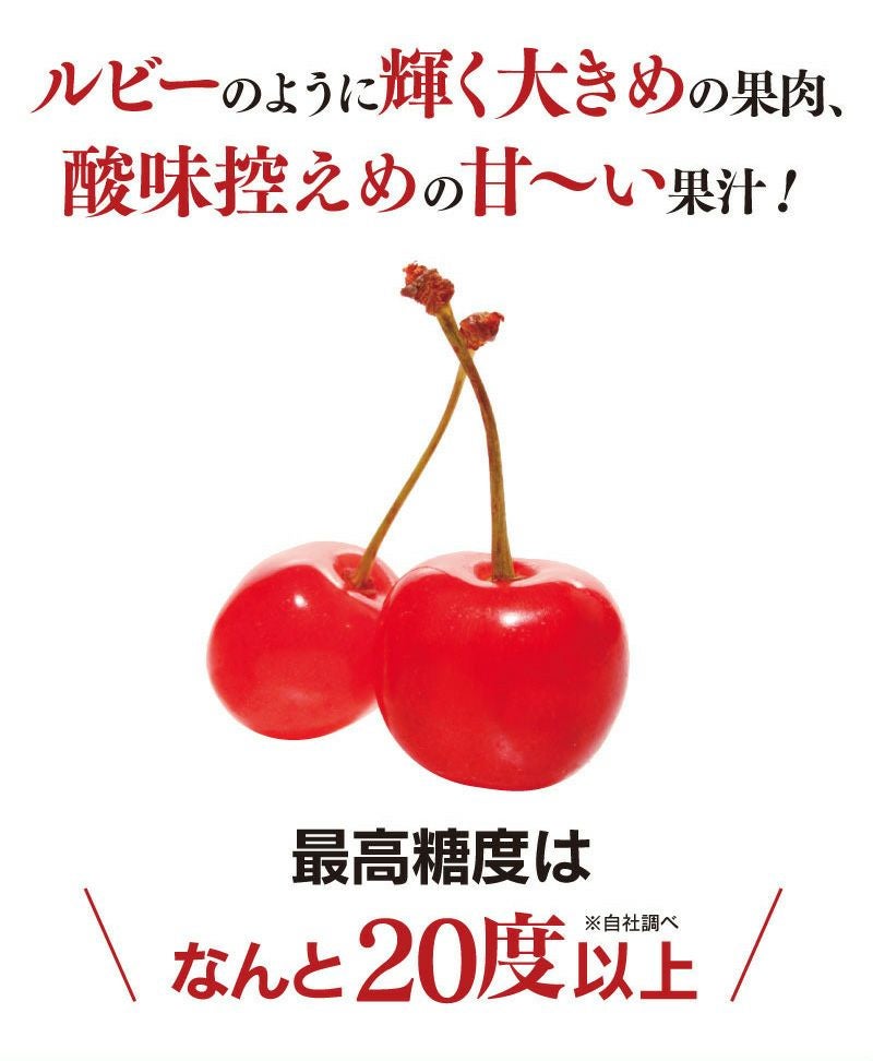 紅秀峰 山形 さくらんぼ 700g 