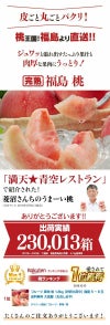 福島の桃 1.8kg
