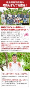 福島の桃 1.8kg