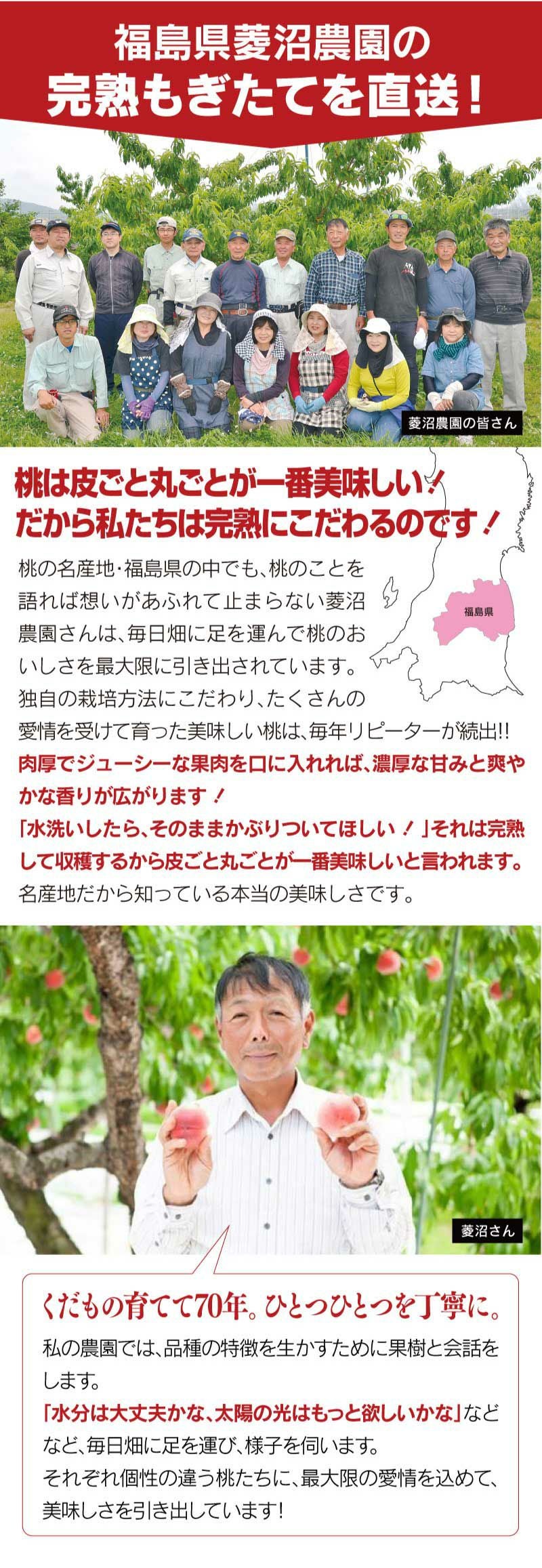 福島の桃 1.8kg