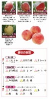 福島の桃 1.8kg