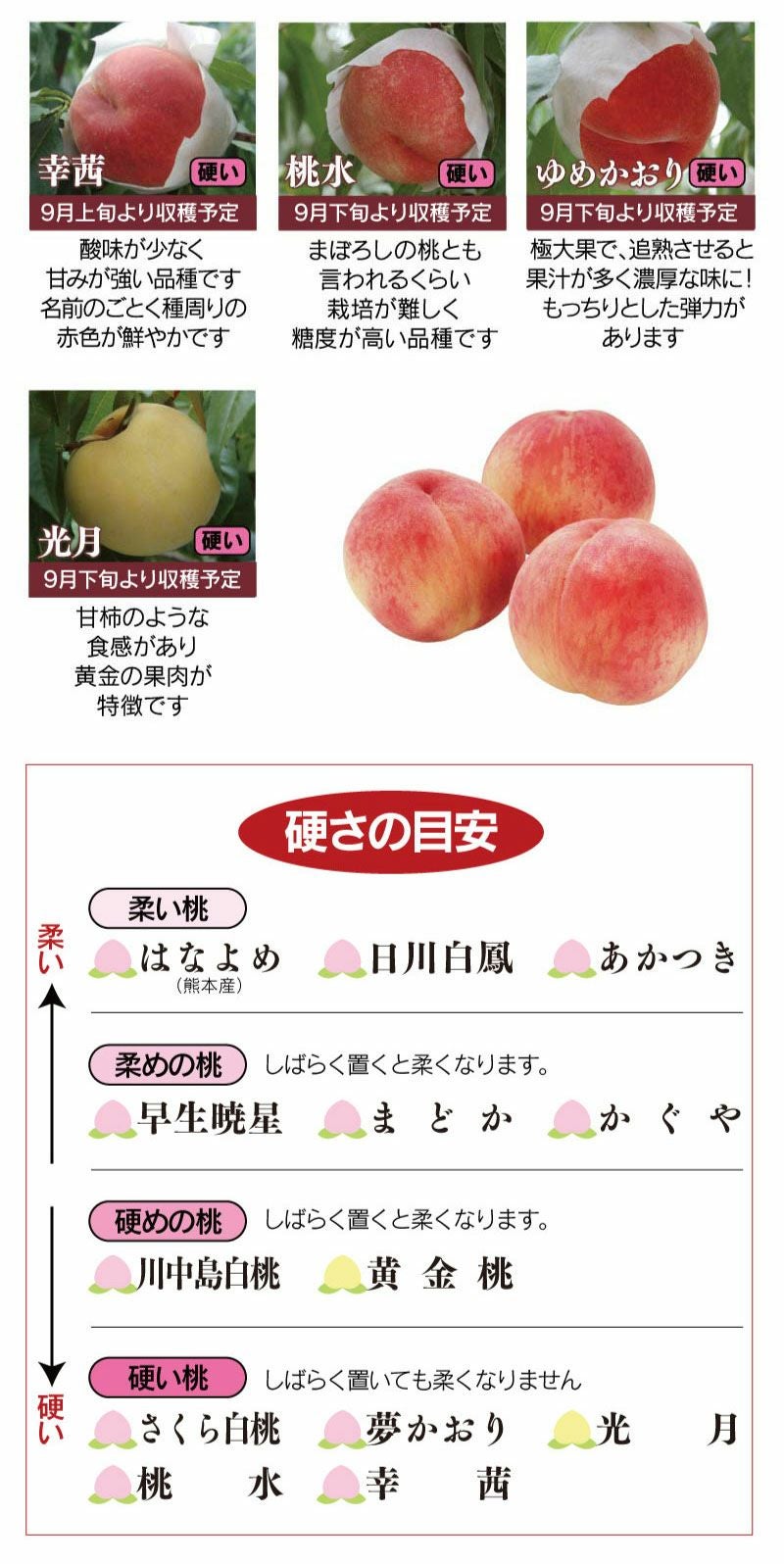 福島の桃 1.8kg