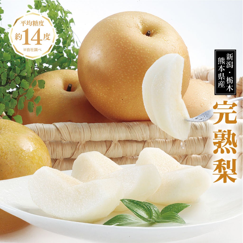 樹上完熟 もぎたて梨