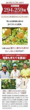 樹上完熟 もぎたて梨