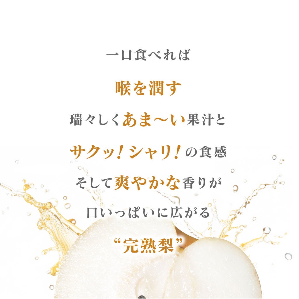 樹上完熟 もぎたて梨