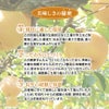 梨の美味しい食べ方