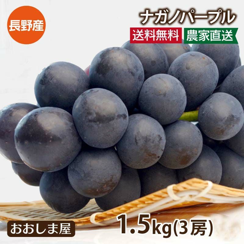 ナガノパープル 1.5kg（3房）送料無料 農家直送（冷蔵便 クール別途300