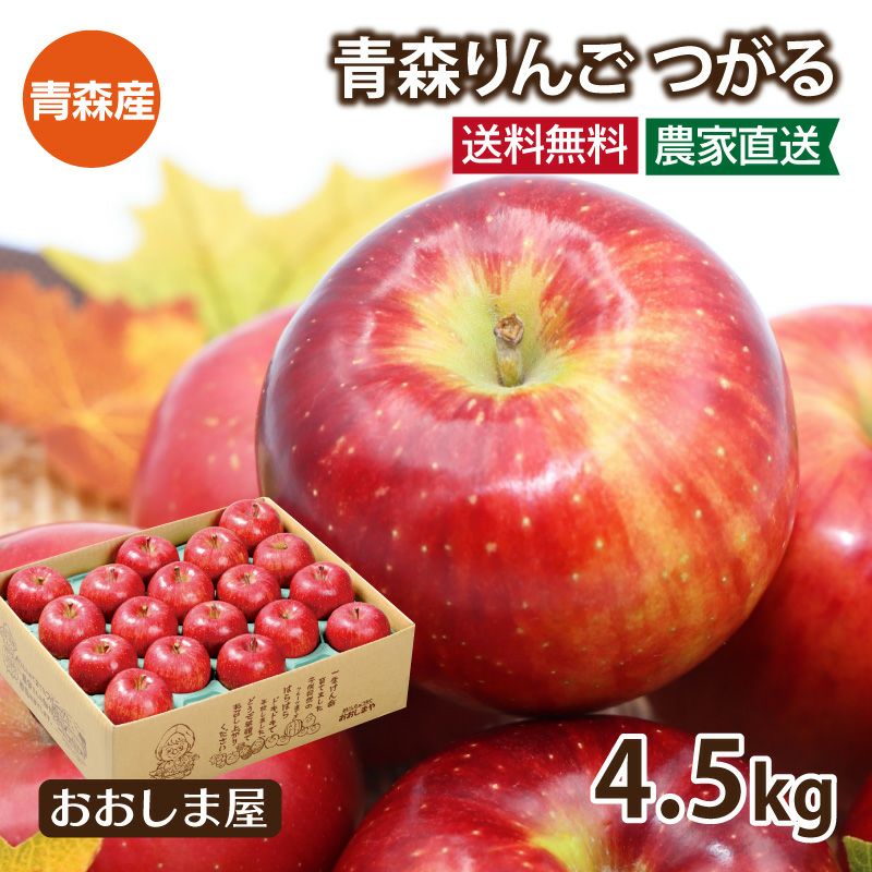りんご つがる 送料無料 4.5kg（14-20玉入り）＜9月上旬より順次出荷