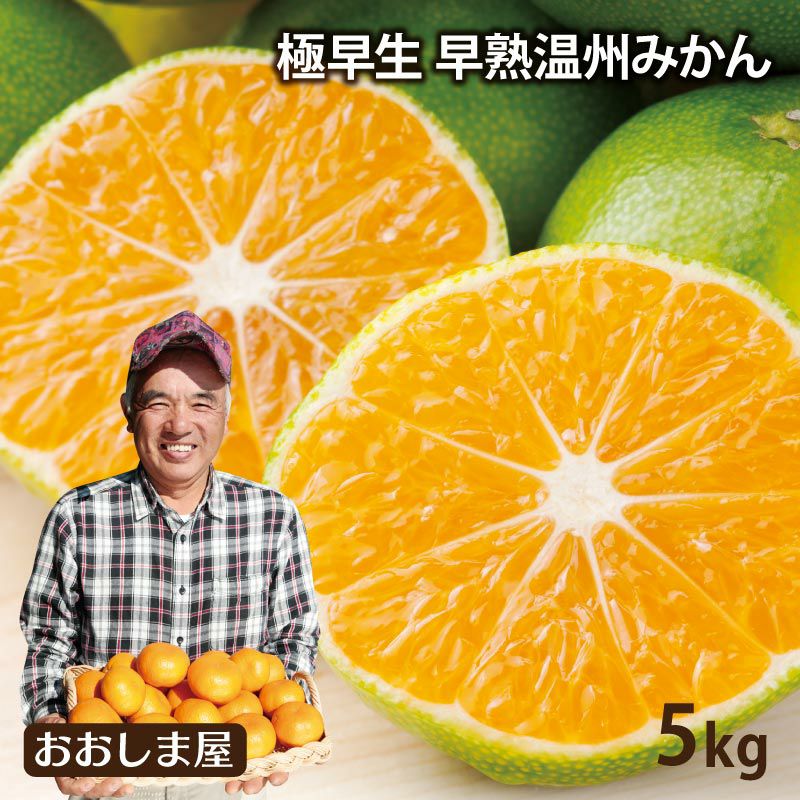 まとめ買いキャンペーン／早熟温州みかん 5kg(60-70玉前後） 送料無料