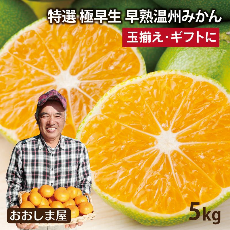 特選 早熟温州みかん 5kg 【10月上旬より順次出荷】 送料無料 極早生