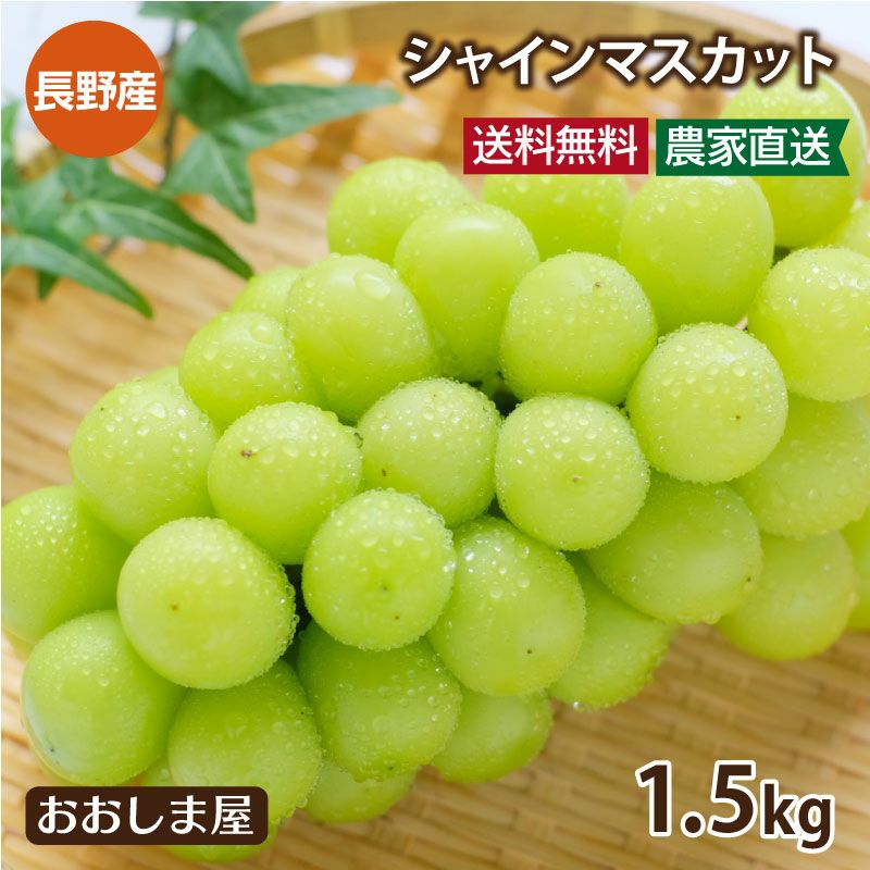 長野産 シャインマスカット ぶどう ブドウ 葡萄 マスカット 1.5kg（3