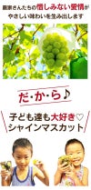 シャインマスカット