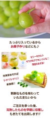 シャインマスカット