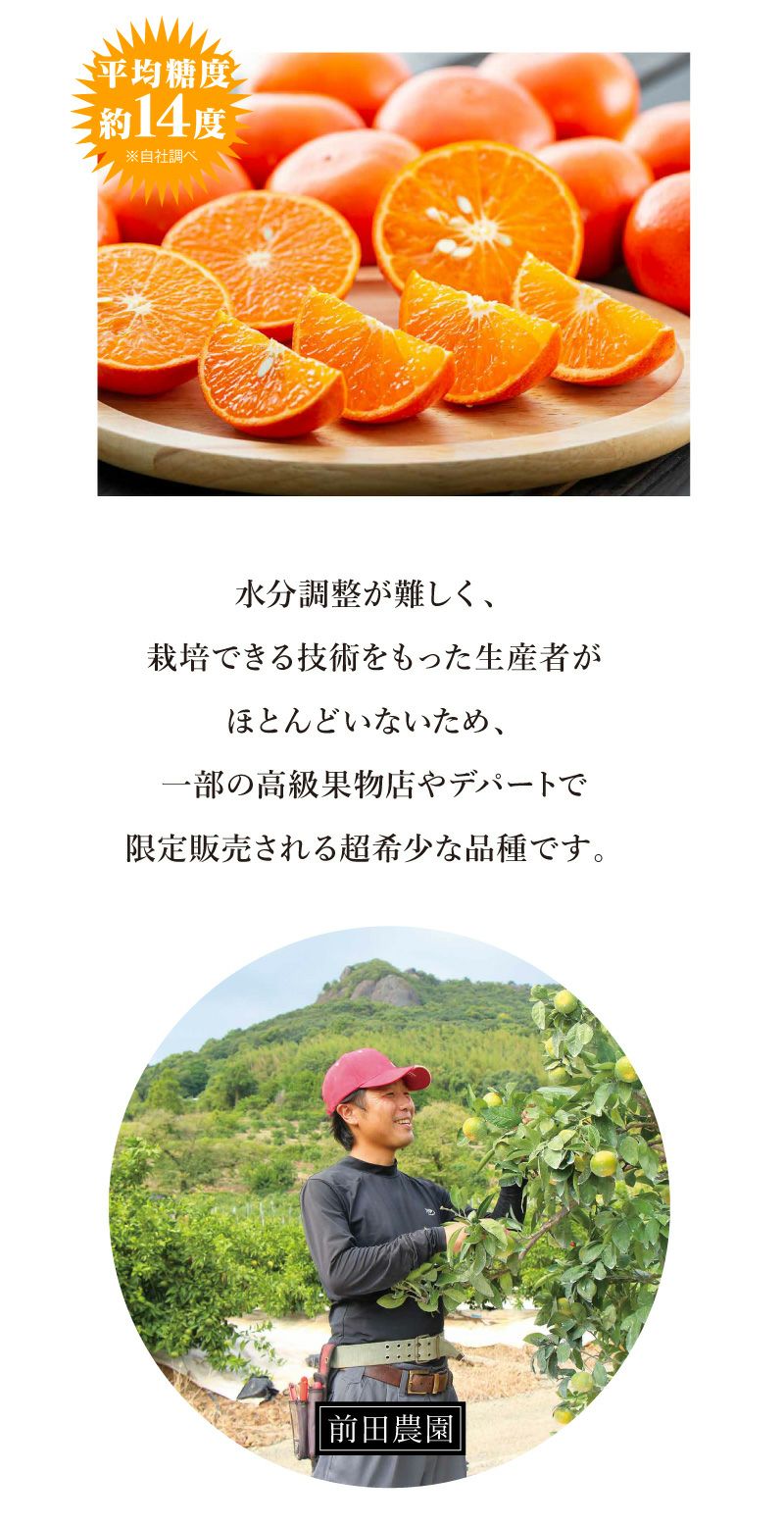 立山さんのみはやみかん