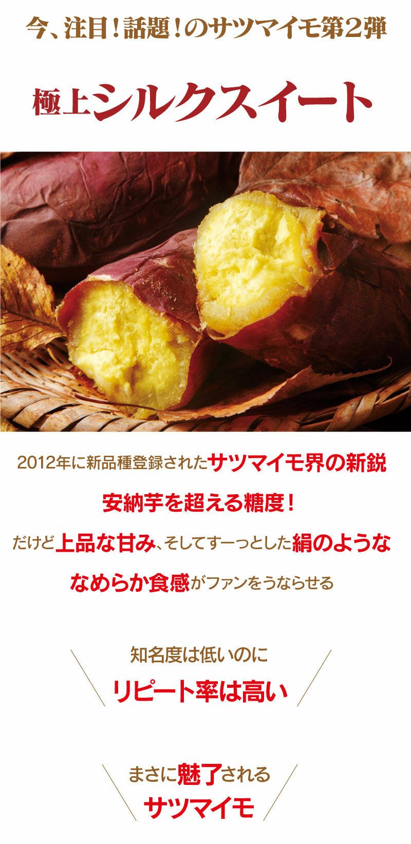 シルクスイート