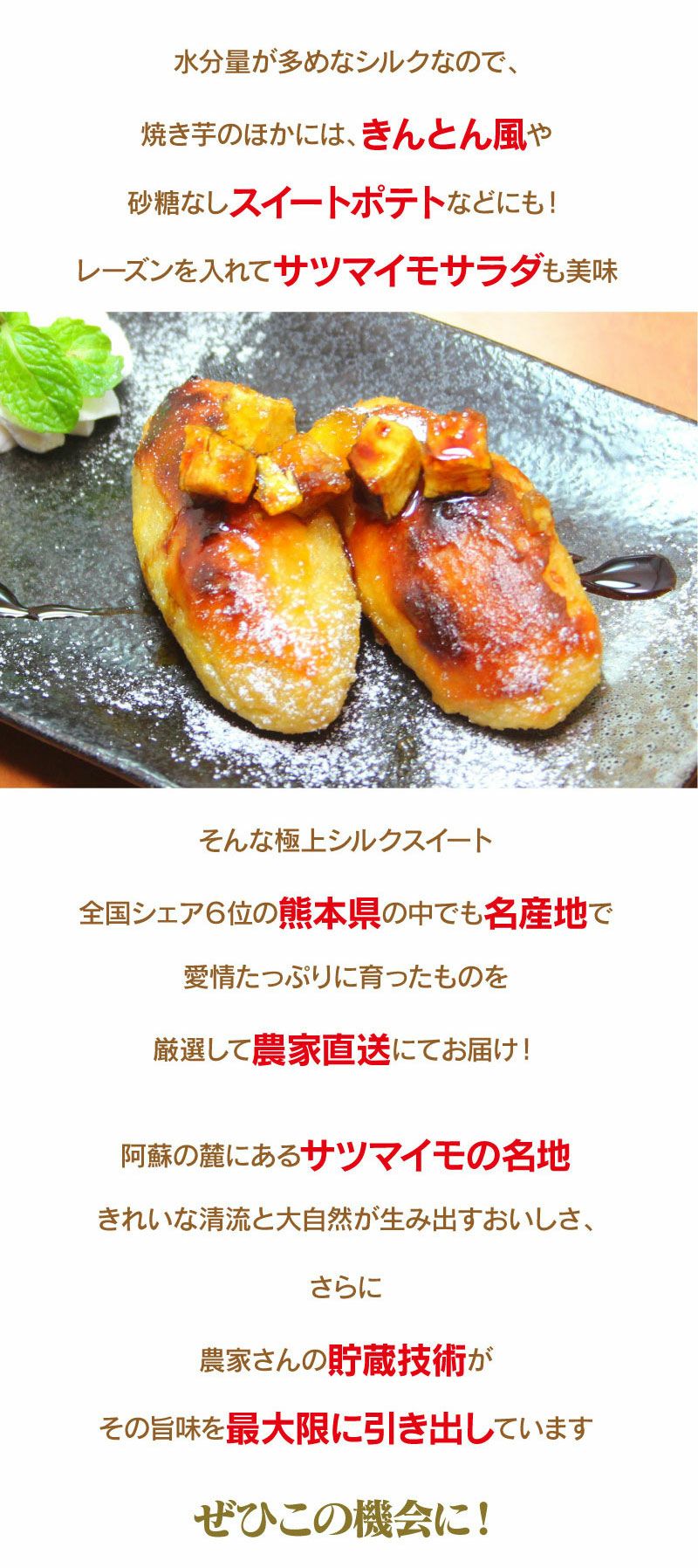 シルクスイート