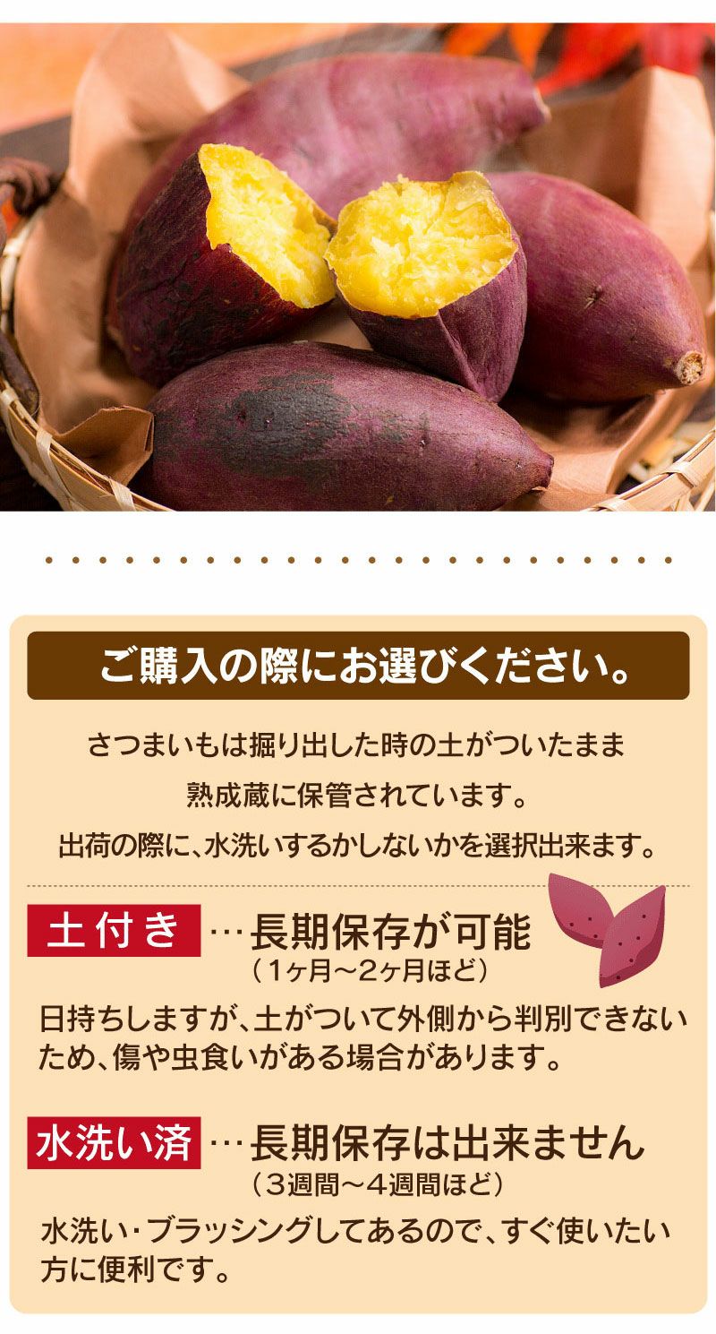 シルクスイート