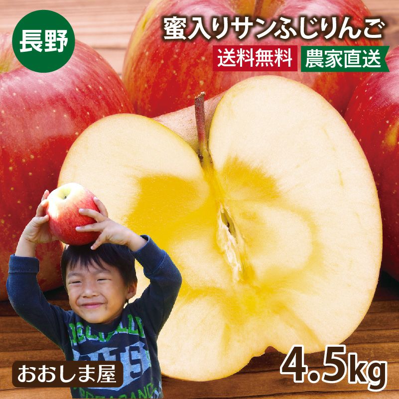長野産 蜜入り サンふじりんご 4.5kg 約12～18玉 大小混合 小傷あり