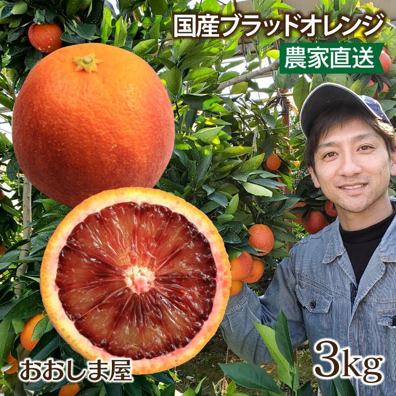 国産 ブラッドオレンジ モロ種 3kg 送料無料 ＜3月上旬より出荷予定