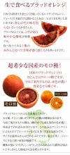 国産 ブラッドオレンジ モロ種 3kg 