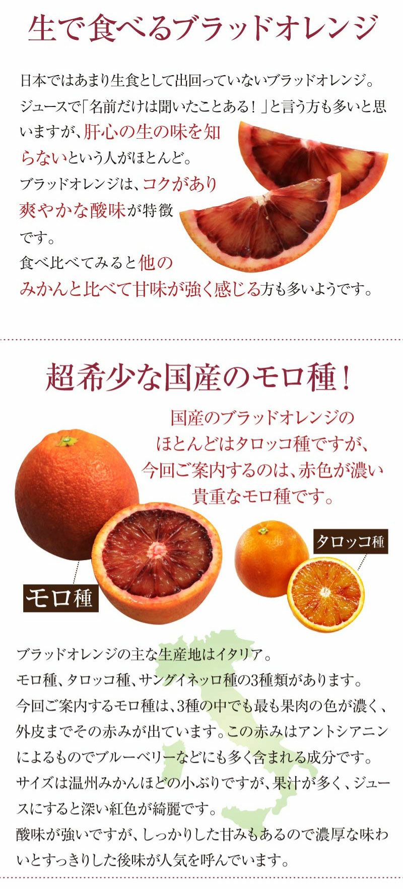 国産 ブラッドオレンジ モロ種 3kg 