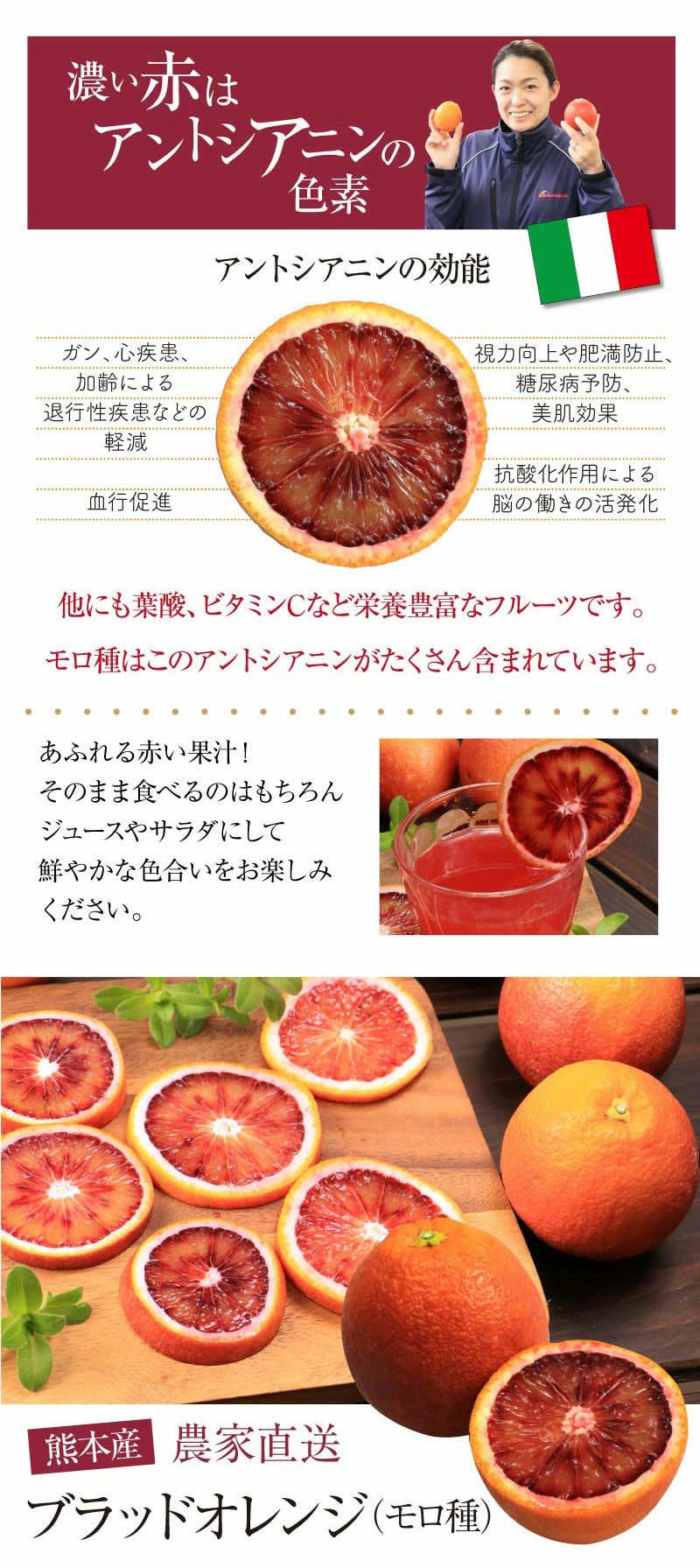 国産 ブラッドオレンジ モロ種 3kg 