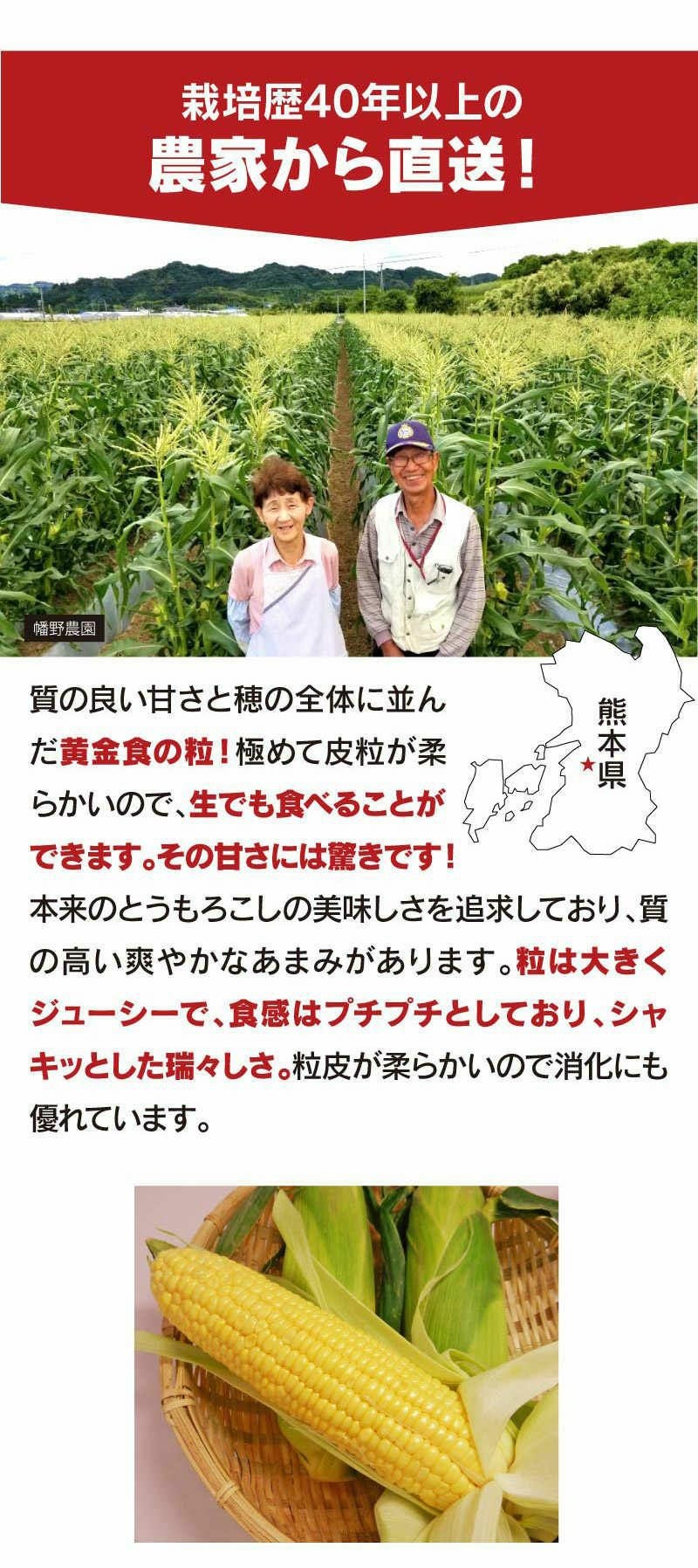  ゴールドラッシュ