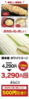  白いとうもろこし ホワイトコーン