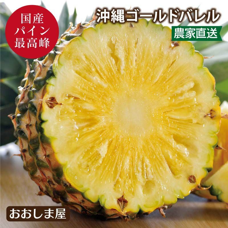 濃蜜 ゴールドバレル パイン 2.5kg 沖縄県産 ＜送料無料＞ クール代別