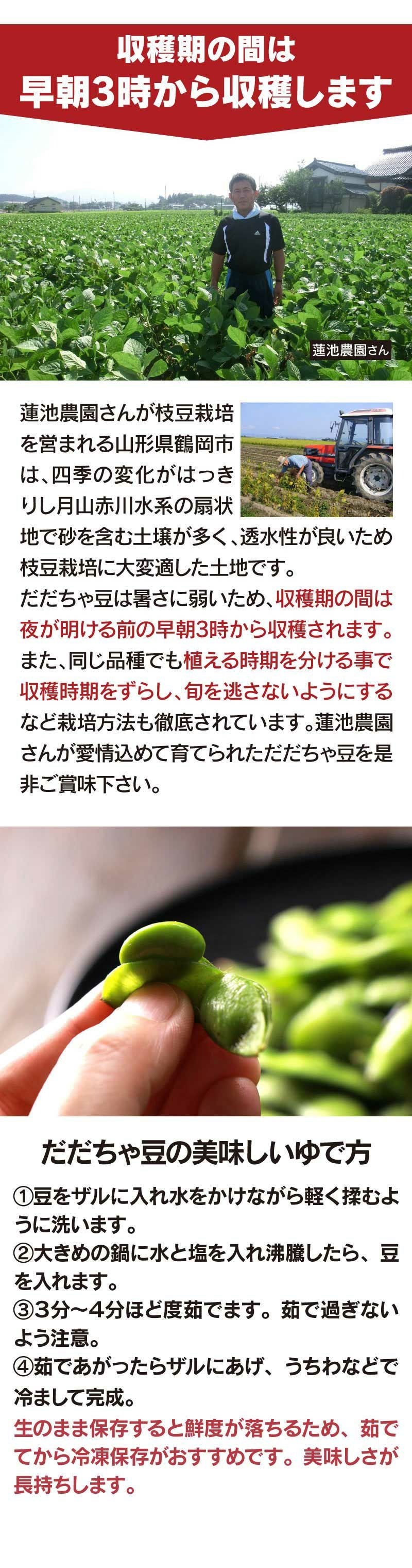 だだちゃ豆