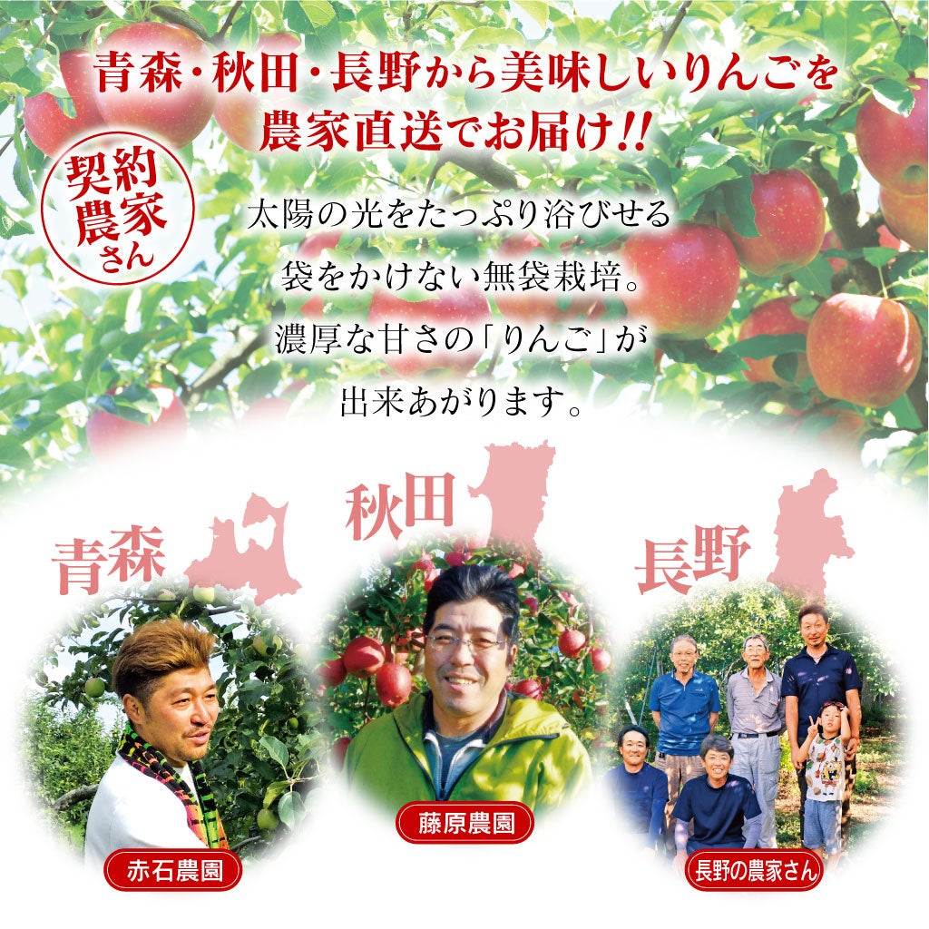 サンつがるりんご