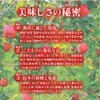 サンつがるりんご