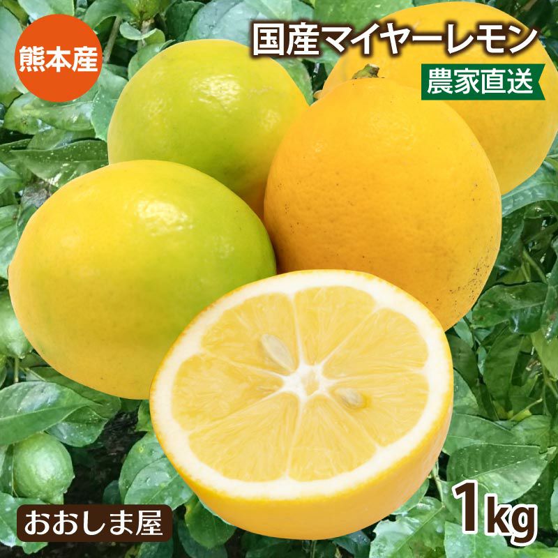 お得用 熊本県産 マイヤーレモン 家庭用 20kg 送料無料 国産 熊本 レモン 1kg マイヤーレモン 送料別 ＜11月上旬頃より順次