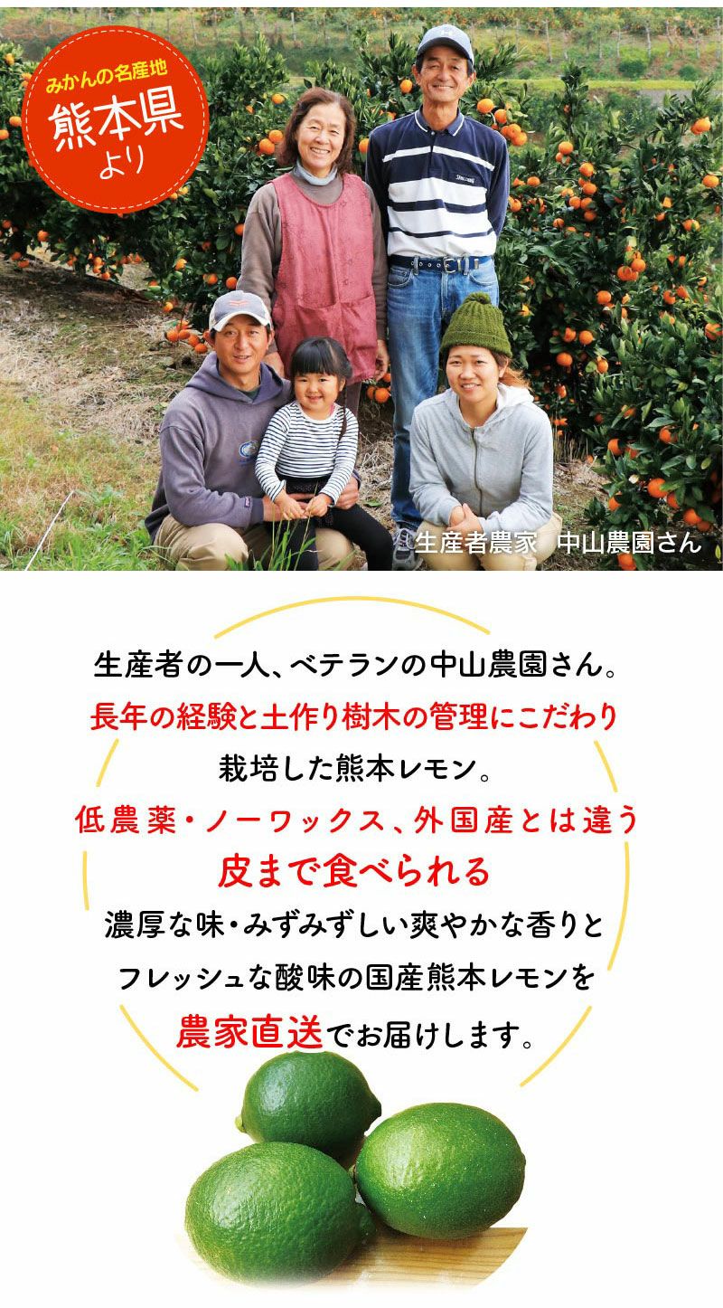  国産 熊本 レモン 1kg マイヤーレモン