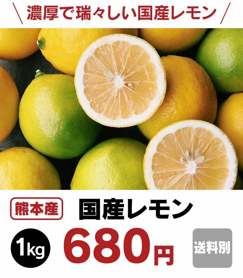  国産 熊本 レモン 1kg マイヤーレモン